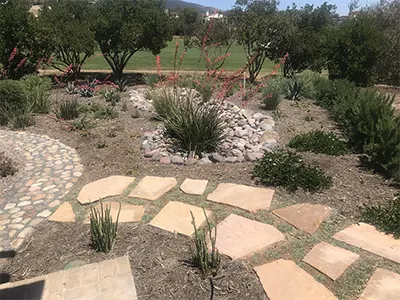 Landscape Company, North County San Diego, CA