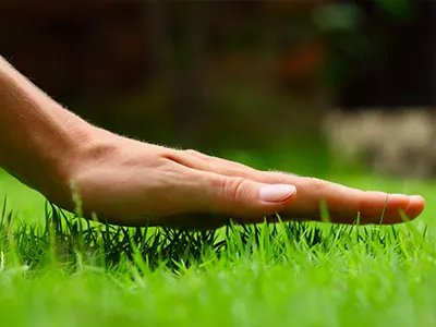 Artificial Grass Services, North County San Diego, CA