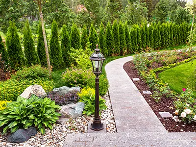 Landscaping Services, North County San Diego, CA