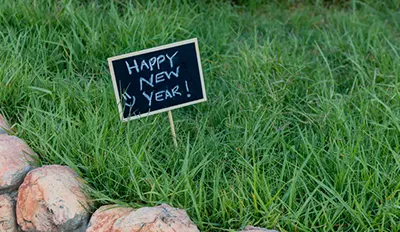 New Year’s Resolutions for Your Landscaping