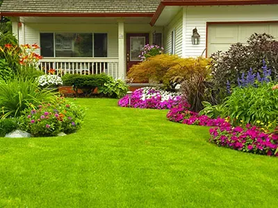 Landscape Services, North County San Diego, CA