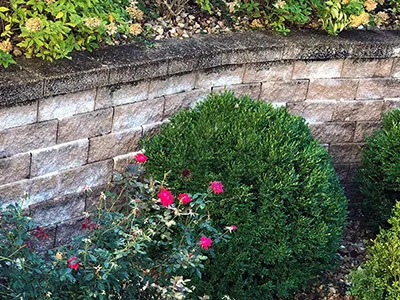 Tackling Efflorescence on Retaining Walls