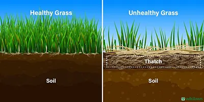 The Benefits of Aerating Your Lawn