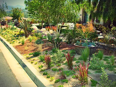 Xeriscape Services, North County San Diego, CA